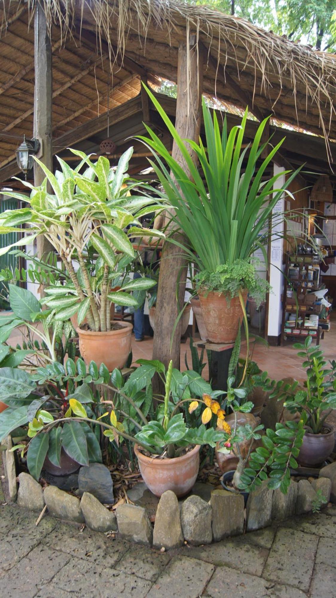 Mut Mee Garden Guest House Nong Khai Buitenkant foto