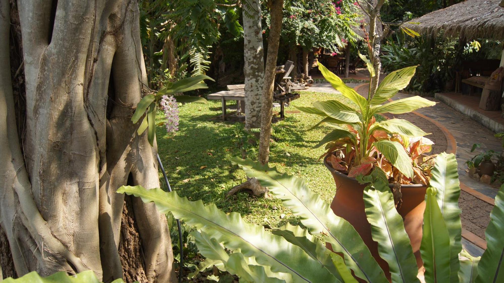Mut Mee Garden Guest House Nong Khai Buitenkant foto