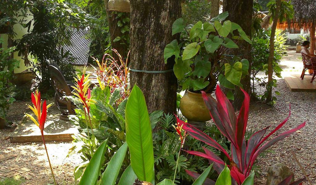 Mut Mee Garden Guest House Nong Khai Buitenkant foto